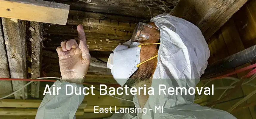 Air Duct Bacteria Removal East Lansing - MI