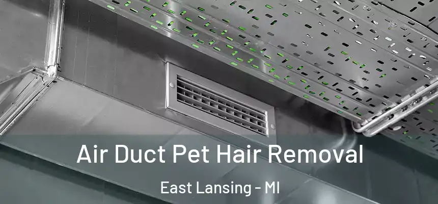  Air Duct Pet Hair Removal East Lansing - MI