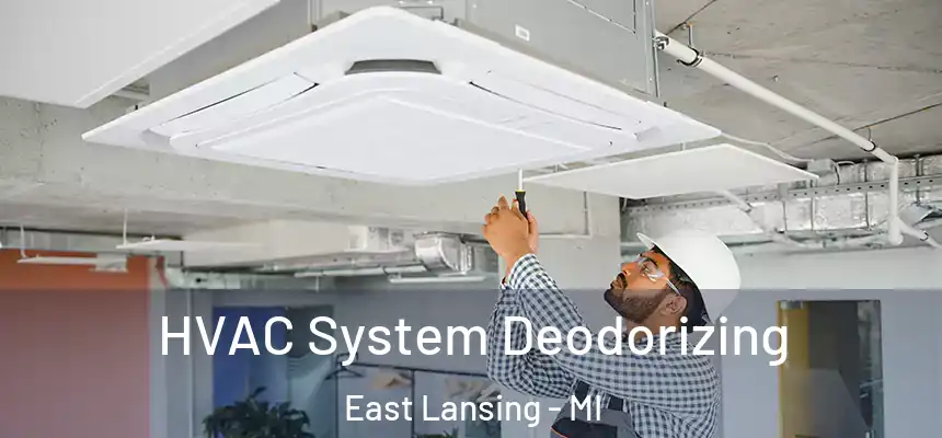 HVAC System Deodorizing East Lansing - MI
