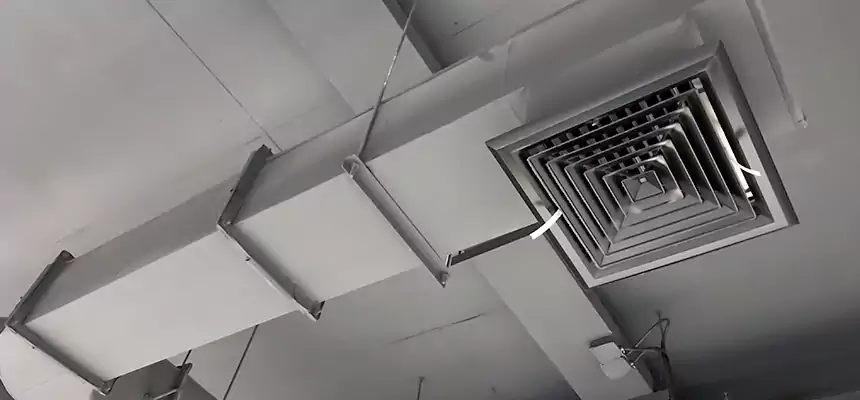 Our Pest Removal From Ducts Services in East Lansing, MI