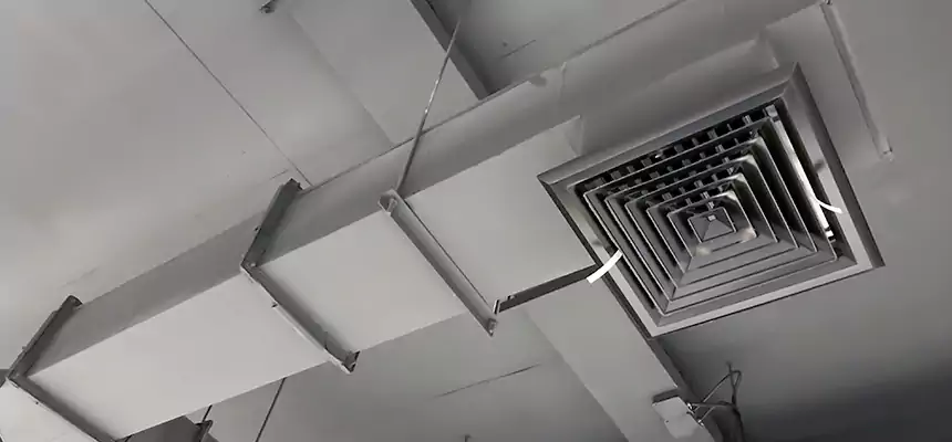 Our Rodent Droppings In Vents Services in East Lansing, MI