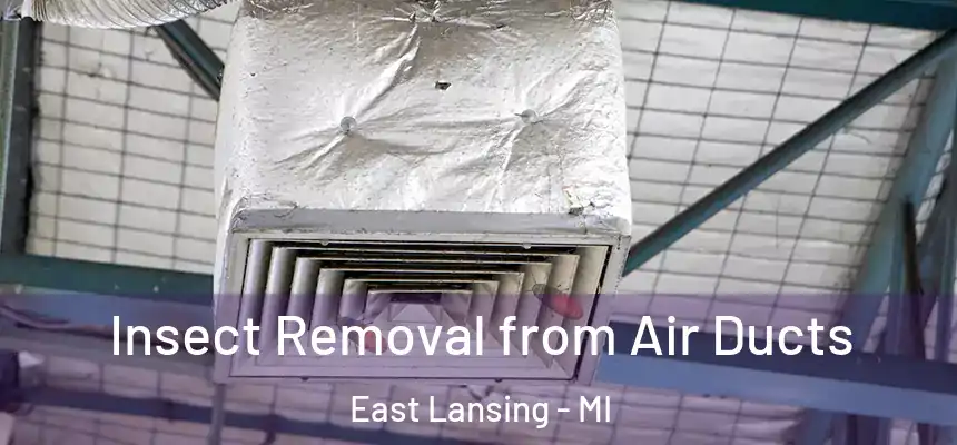 Insect Removal from Air Ducts East Lansing - MI
