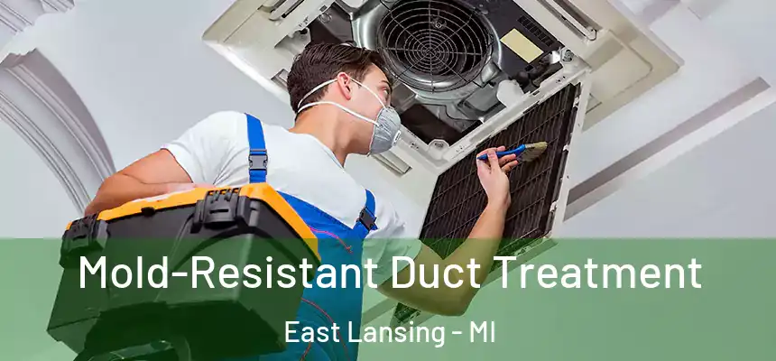  Mold-Resistant Duct Treatment East Lansing - MI