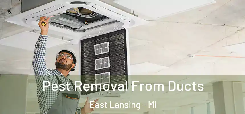 Pest Removal From Ducts East Lansing - MI