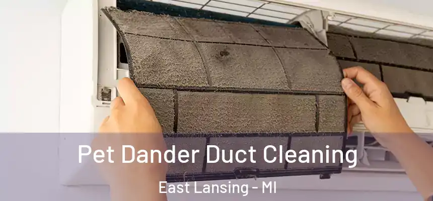 Pet Dander Duct Cleaning East Lansing - MI
