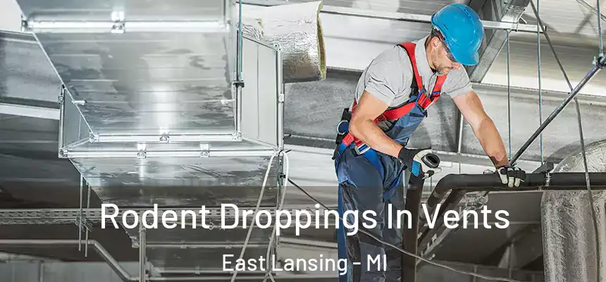 Rodent Droppings In Vents East Lansing - MI