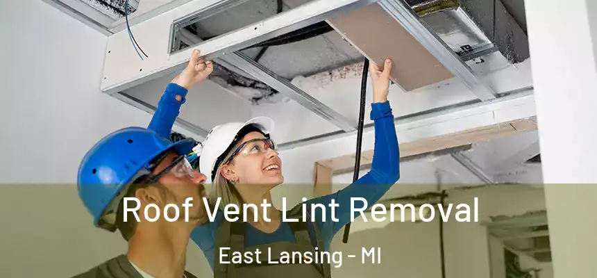  Roof Vent Lint Removal East Lansing - MI