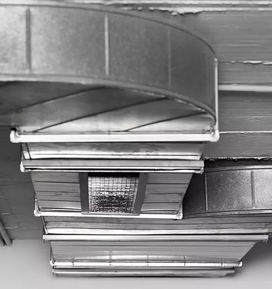 Professional Air Duct Pet Hair Removal in East Lansing, MI