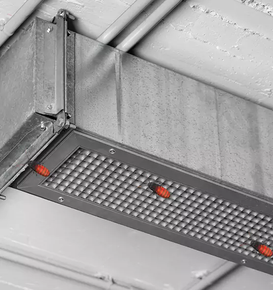 Affordable Insect Removal from Air Ducts in East Lansing, MI