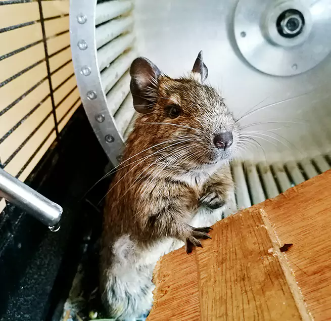 Why Homeowners & Businesses Trust Us East Lansing, MI