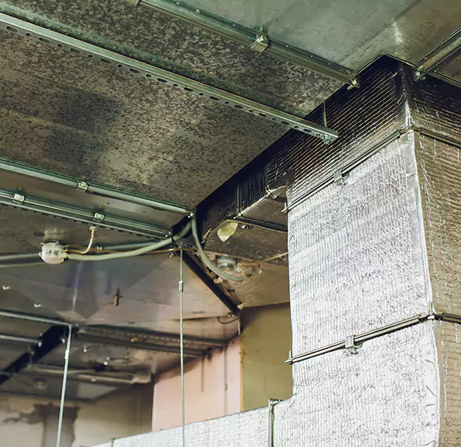 Why Homeowners & Businesses Trust Us in East Lansing, MI?